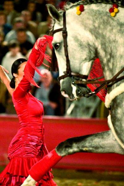 De mi tierra a tu tierra